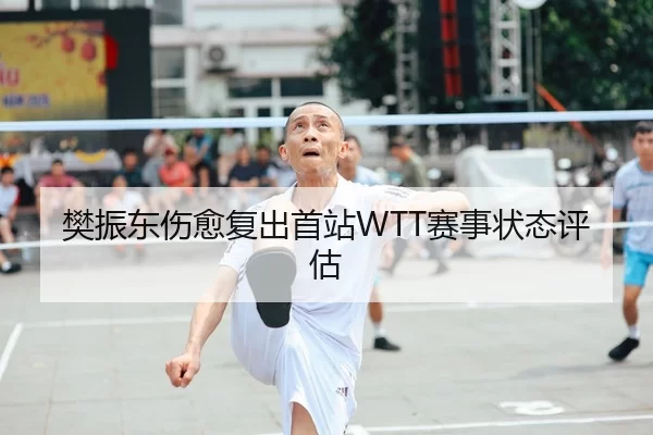 樊振东伤愈复出首站WTT赛事状态评估