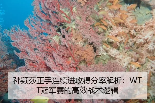 sun-ying-sha-zheng-shou-lian-xu-jin-gong-de-fen-lv-jie-xi-guan-jun-sai-de-gao-xiao-zhan-shu-luo-ji-2-206.jpg